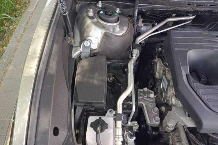Used Lexus ES 2022 200 Excellence Edition Engine Bay Right