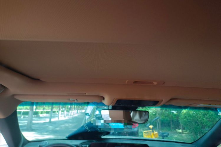 Used Lexus ES 2022 200 Excellence Edition Headliner
