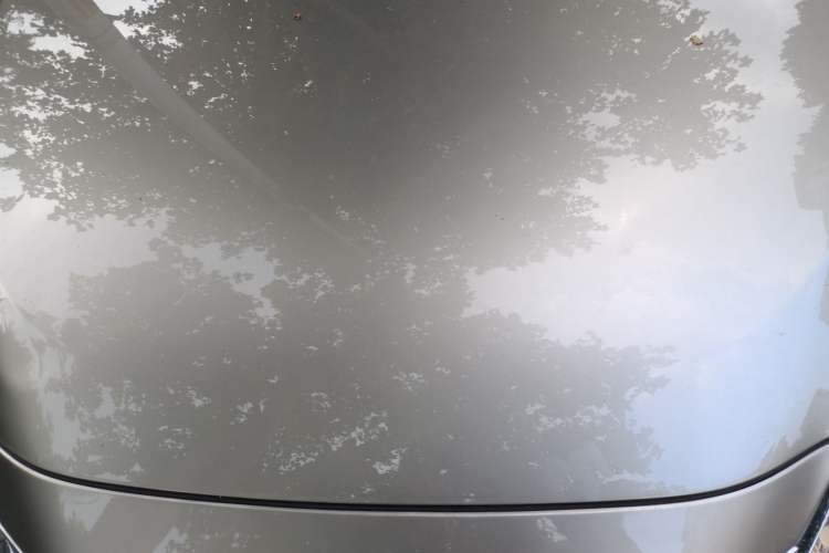 Used Lexus ES 2022 200 Excellence Edition Engine Bay