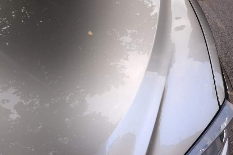 Used Lexus ES 2022 200 Excellence Edition Engine Bay Left
