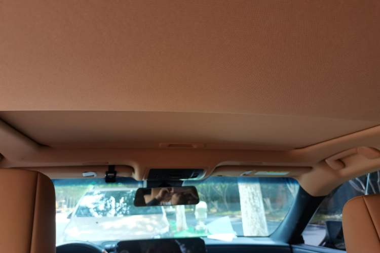 Used Lexus ES 2022 200 Excellence Edition Headliner