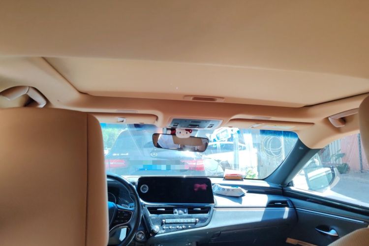 Used Lexus ES 2022 200 Excellence Edition Headliner
