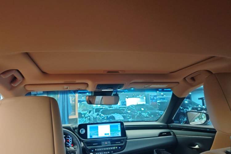 Used Lexus ES 2022 200 Excellence Edition Headliner