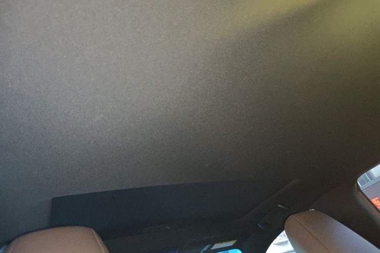 Used Lexus ES 2022 200 Excellence Edition Headliner