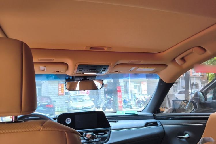 Used Lexus ES 2022 200 Excellence Edition Headliner