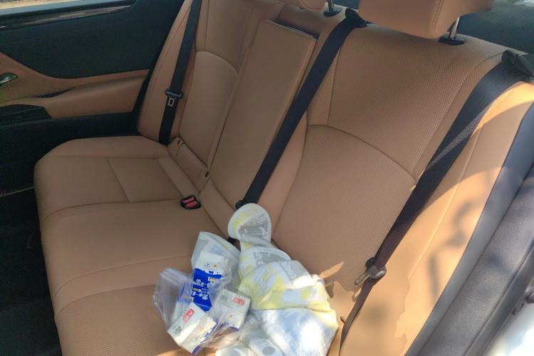 Used Lexus ES 2022 300h Deluxe Edition Left Rear Seat