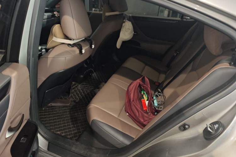 Used Lexus ES 2022 300h Excellence Edition Left Rear Seat