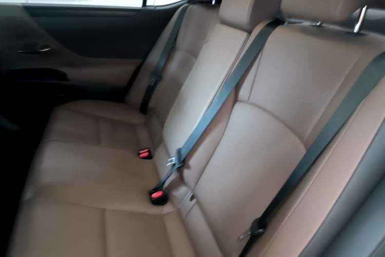 Used Lexus ES 2022 200 Luxury Edition Left Rear Seat