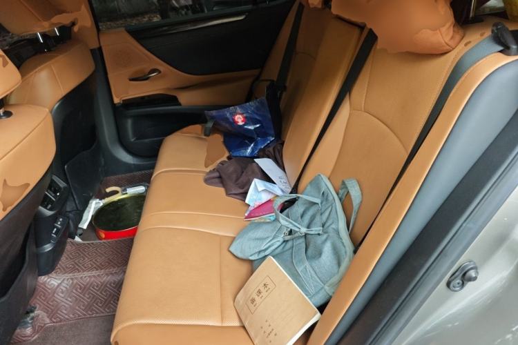 Used Lexus ES 2022 300h Excellence Edition Left Rear Seat