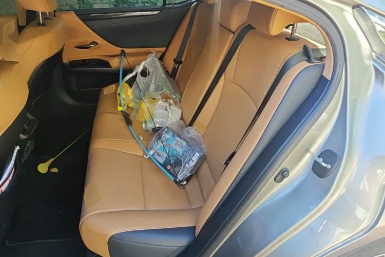 Used Lexus ES 2022 200 Excellence Edition Left Rear Seat