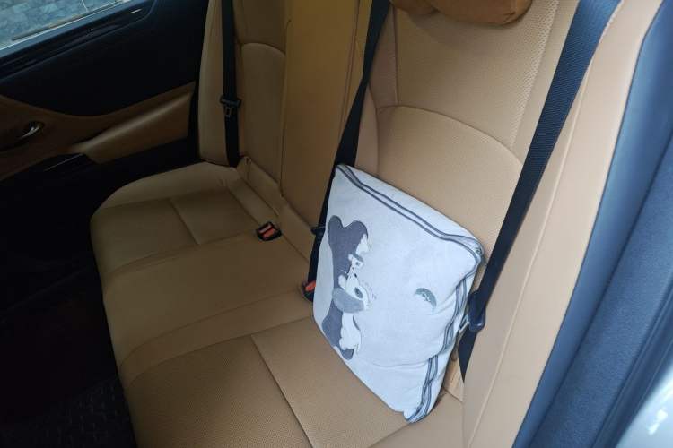 Used Lexus ES 2022 300h Excellence Edition Left Rear Seat