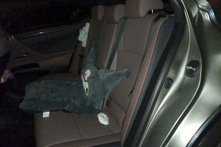 Used Lexus ES 2022 200 Excellence Edition Left Rear Seat