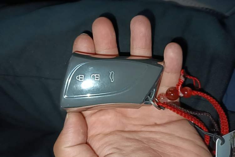 Used Lexus ES 2022 200 Excellence Edition Vehicle Key