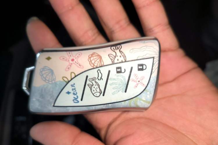 Used Lexus ES 2022 200 Luxury Edition Vehicle Key
