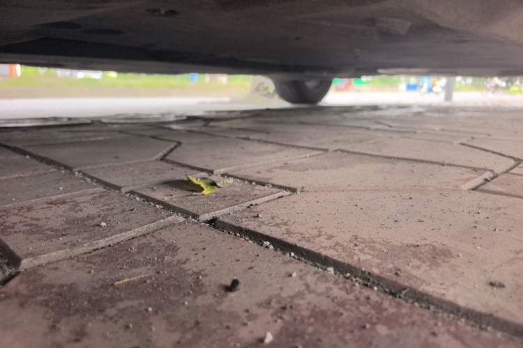 Used Lexus ES 2022 200 Excellence Edition Chassis Front Left