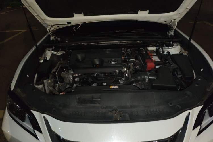 Used Lexus ES 2022 200 Excellence Edition Engine Bay