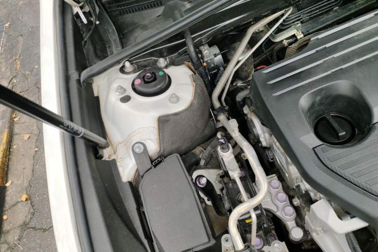 Used Lexus ES 2022 300h Excellence Edition Engine Bay Right