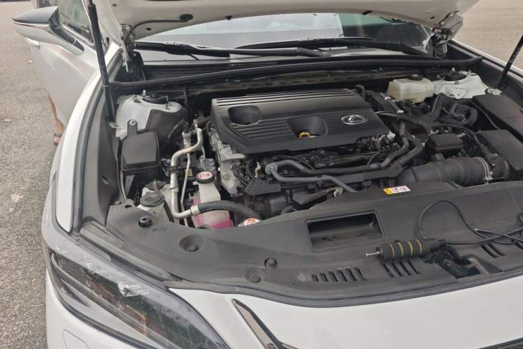 Used Lexus ES 2022 300h F SPORT Engine Bay Right