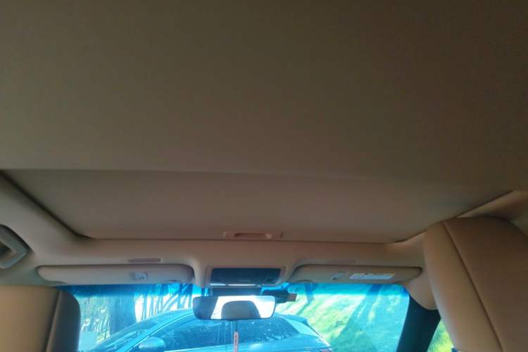 Used Lexus ES 2022 260 Excellence Edition Headliner