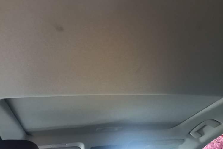 Used Lexus ES 2022 260 Excellence Edition Headliner