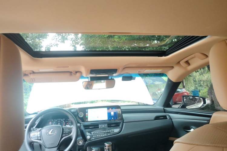 Used Lexus ES 2022 200 Excellence Edition Headliner