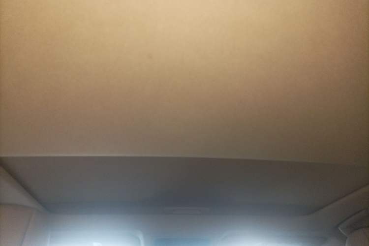 Used Lexus ES 2022 200 Luxury Edition Headliner