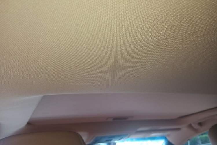 Used Lexus ES 2022 200 Excellence Edition Headliner
