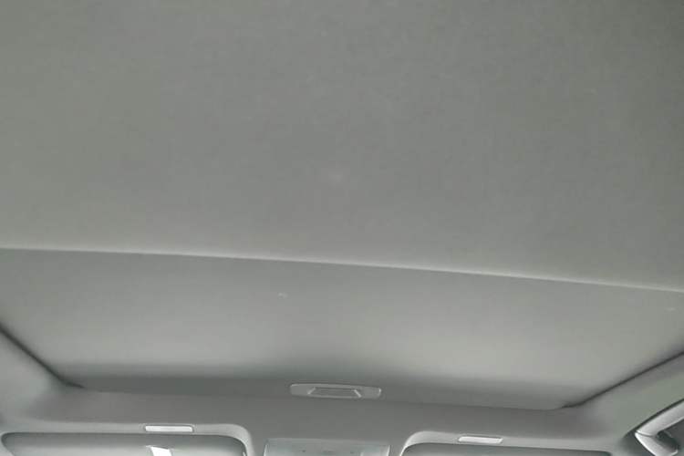 Used Lexus ES 2022 200 Excellence Edition Headliner