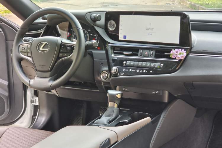 Used Lexus ES 2022 200 Excellence Edition Interior 10