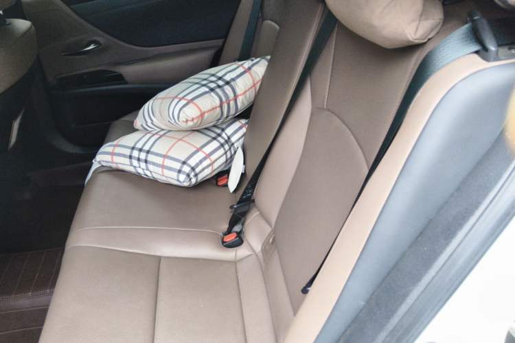 Used Lexus ES 2022 260 Excellence Edition Left Rear Seat