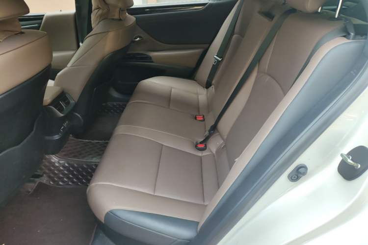 Used Lexus ES 2022 260 Excellence Edition Left Rear Seat