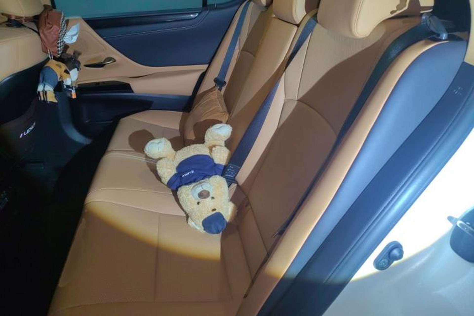 Used Lexus ES 2022 200 Excellence Edition Left Rear Seat