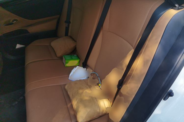 Used Lexus ES 2022 300h Excellence Edition Left Rear Seat