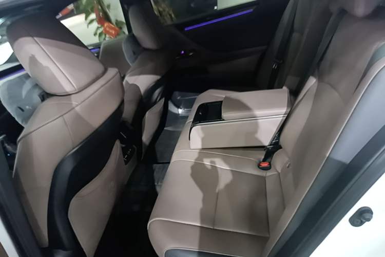 Used Lexus ES 2022 300h Excellence Edition Left Rear Seat