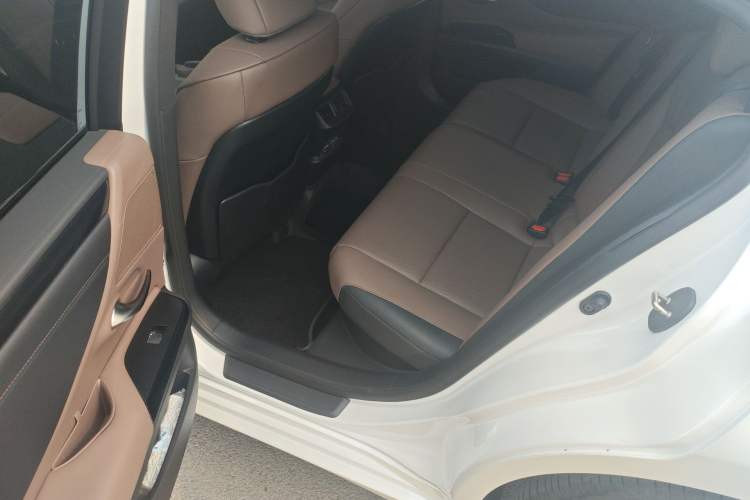 Used Lexus ES 2022 300h Excellence Edition Left Rear Seat