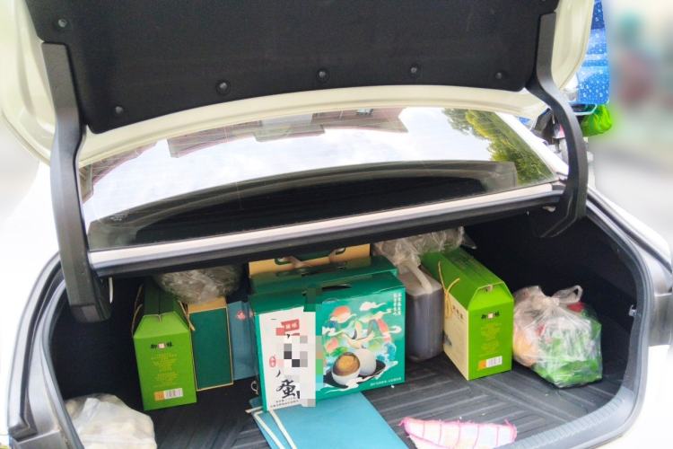 Used Lexus ES 2022 260 Excellence Edition Trunk