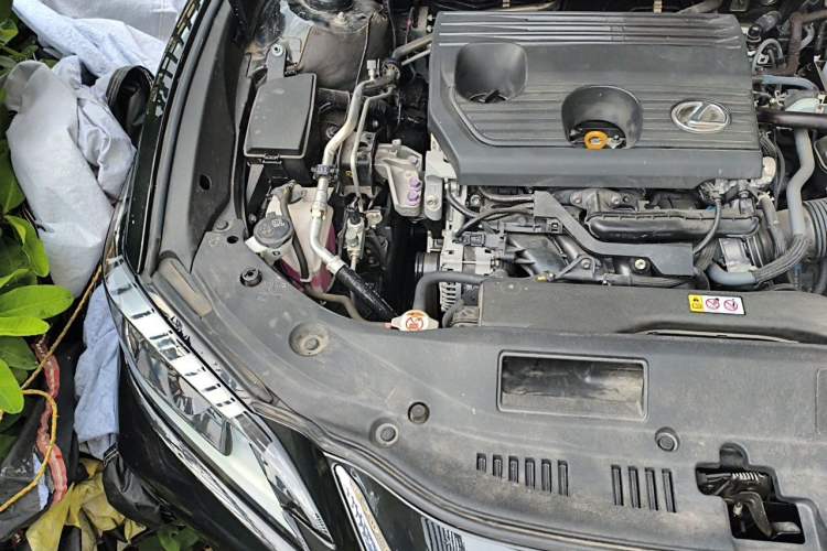Used Lexus ES 2023 200 Excellence Edition Engine Bay Right