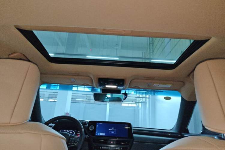 Used Lexus ES 2023 200 Excellence Edition Headliner