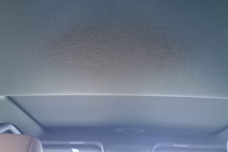 Used Lexus ES 2023 200 Excellence Edition Headliner