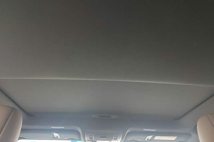 Used Lexus ES 2023 200 Excellence Edition Headliner