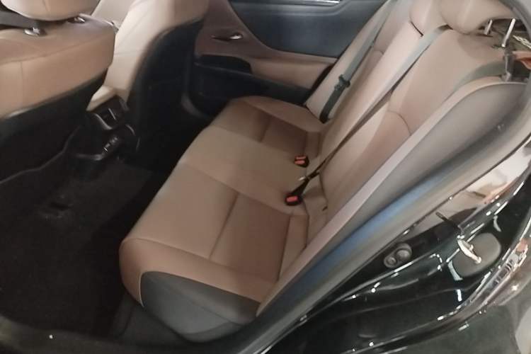 Used Lexus ES 2023 200 Excellence Edition Left Rear Seat