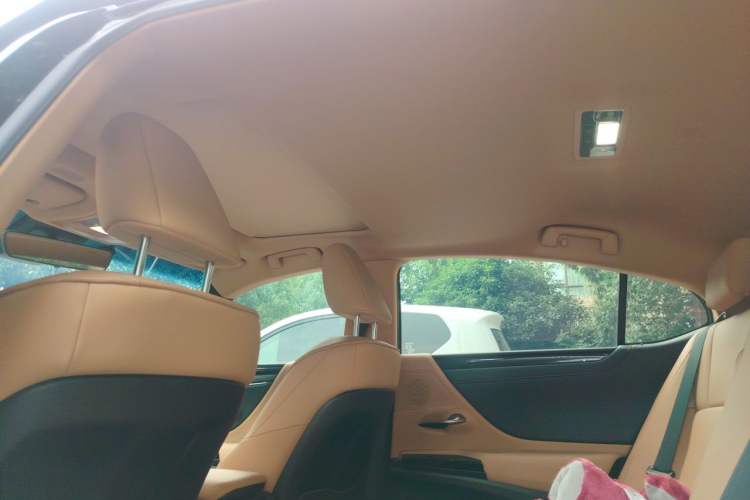 Used Lexus ES 2023 200 Excellence Edition Headliner