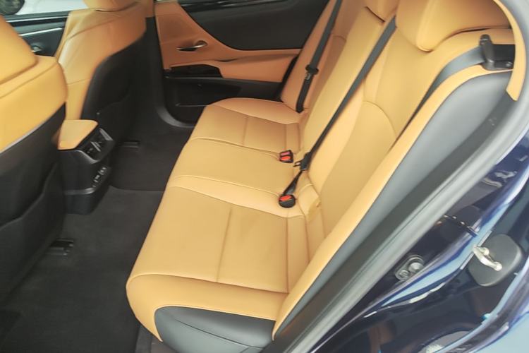 Used Lexus ES 2023 200 Excellence Edition Left Rear Seat