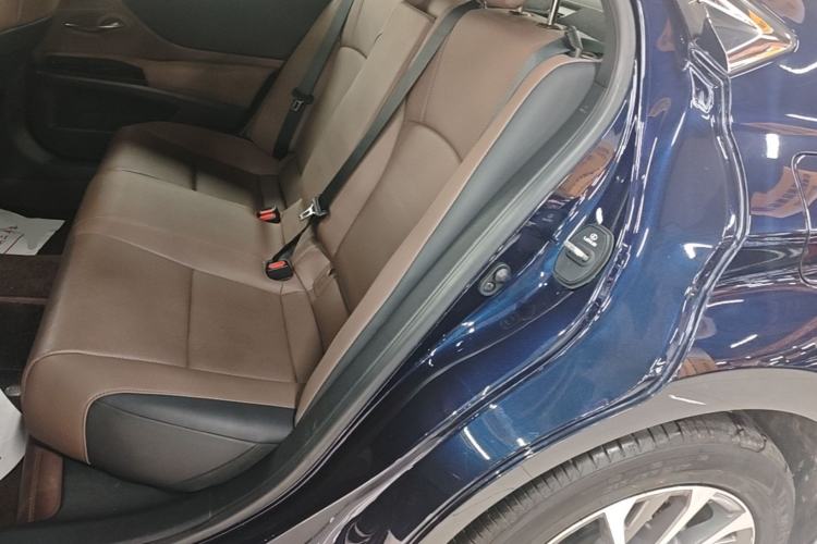Used Lexus ES 2023 260 Excellence Edition Left Rear Seat