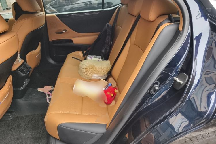 Used Lexus ES 2023 200 Excellence Edition Left Rear Seat