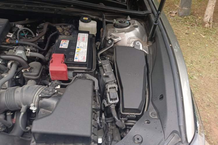 Used Lexus ES 2023 200 Excellence Edition Engine Bay Left