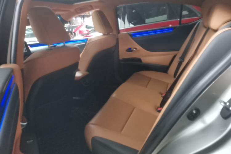 Used Lexus ES 2023 200 Excellence Edition Left Rear Seat