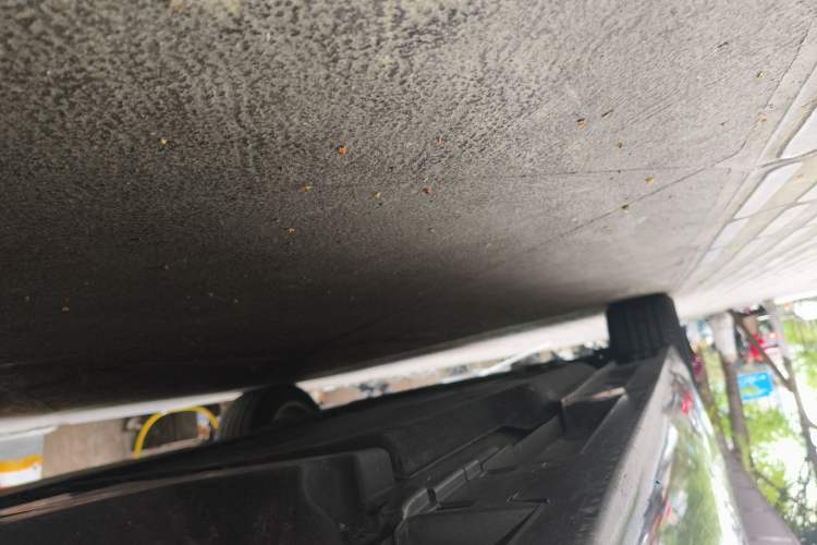 Used Lexus ES 2023 200 Excellence Edition Chassis Rear Left