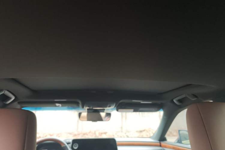 Used Lexus ES 2023 200 Excellence Edition Headliner