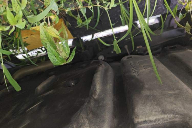 Used Lexus ES 2023 200 Excellence Edition Chassis Rear